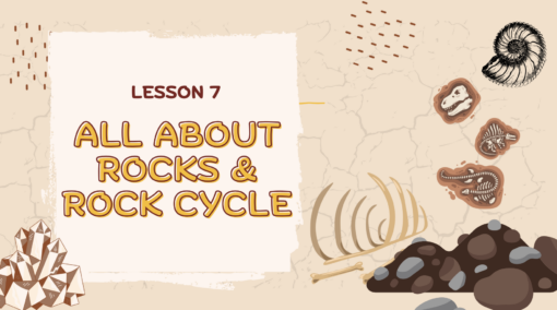 All About Rocks & the Rock Cycle
